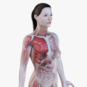 Gas Turbine Plant - Full Set 3D model